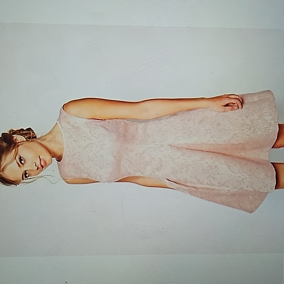 TED BAKER: NWT Ballet Pink jacquard print fit and flare dress - Picture 2 of 8